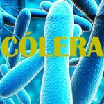 Brasil confirma caso autóctone de cólera em Salvador