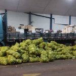 Polícia Militar do Paraná apreende caminhão carregado com mercadorias ilegais na zona rural de Pranchita