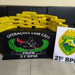 PMPR apreende mais de 25 quilos de maconha em ônibus interestadual em Francisco Beltrão